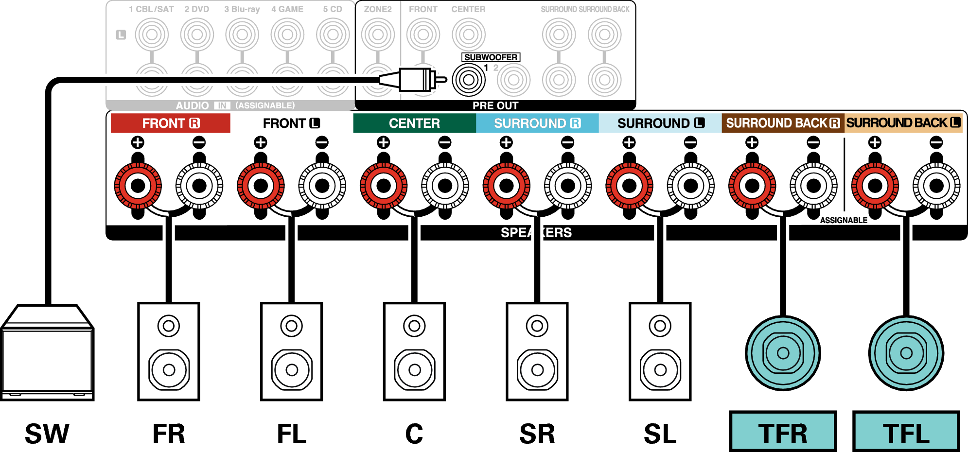 Conne SP 7.1 TF X3E3